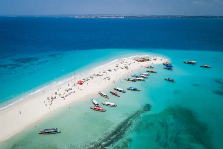 Sandbank Picnic 2